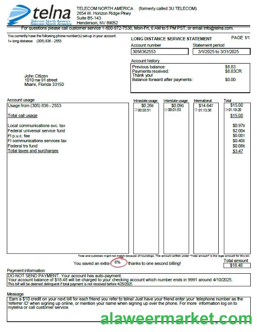 USA Telna utility bill template in Word and PDF formats